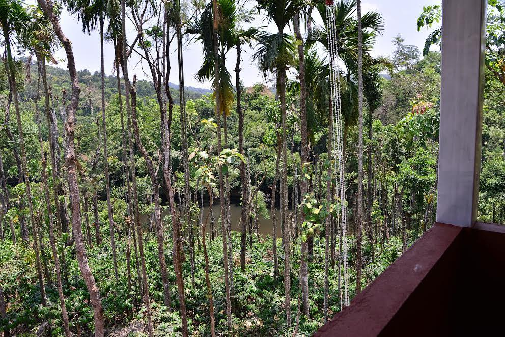 River Near Coorg Jambur Extérieur photo